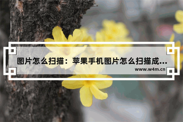 图片怎么扫描：苹果手机图片怎么扫描成PDF