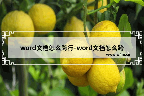 word文档怎么跨行-word文档怎么跨行合并