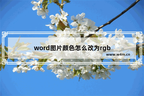 word图片颜色怎么改为rgb