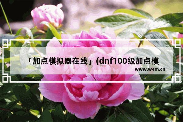 「加点模拟器在线」(dnf100级加点模拟器在线)