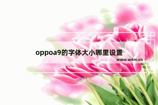 oppoa9的字体大小哪里设置