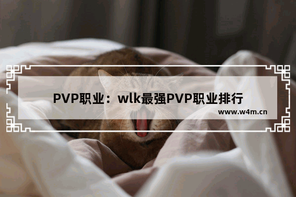 PVP职业：wlk最强PVP职业排行