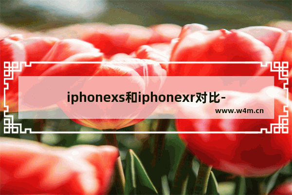 iphonexs和iphonexr对比-iphonexs和iphonexr对比哪个更大