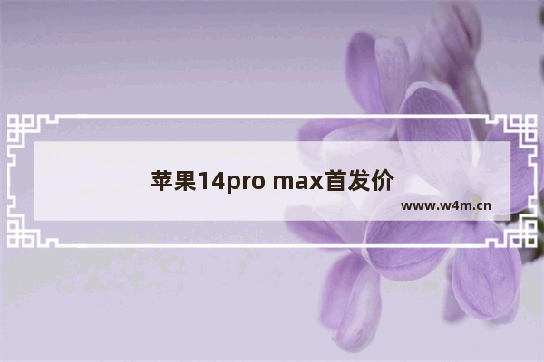 苹果14pro max首发价