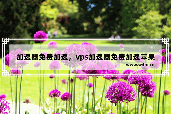 加速器免费加速，vps加速器免费加速苹果