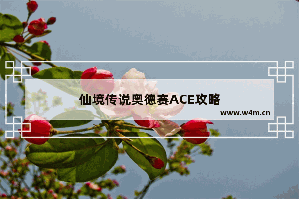 仙境传说奥德赛ACE攻略