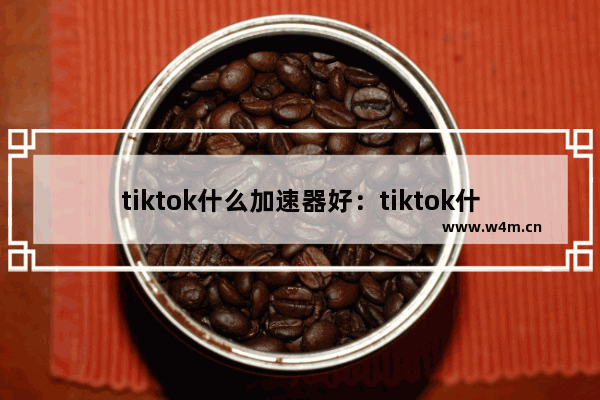 tiktok什么加速器好：tiktok什么加速器好用