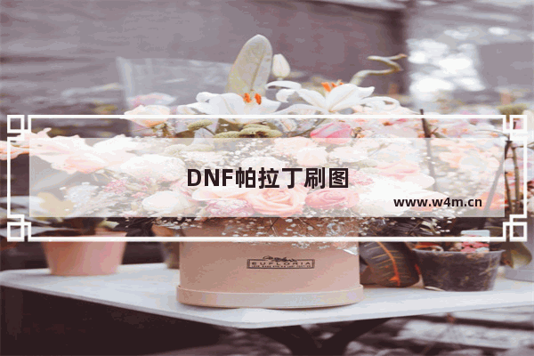 DNF帕拉丁刷图