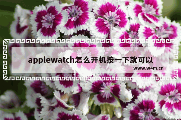 applewatch怎么开机按一下就可以了