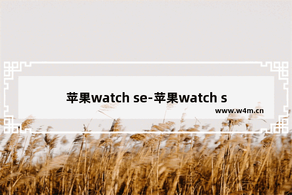 苹果watch se-苹果watch series 8