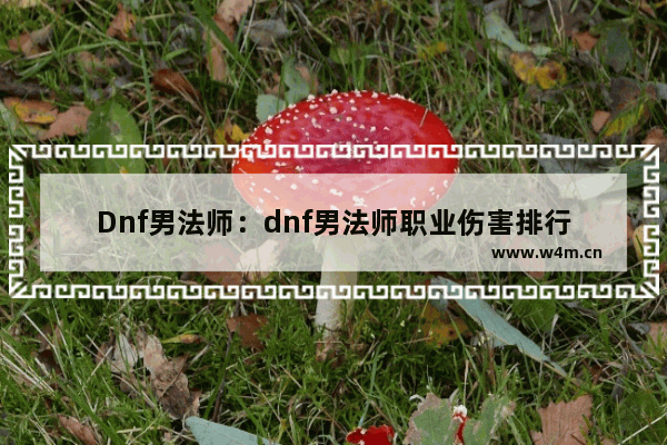 Dnf男法师：dnf男法师职业伤害排行