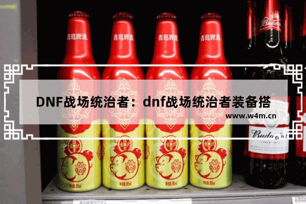 DNF战场统治者：dnf战场统治者装备搭配