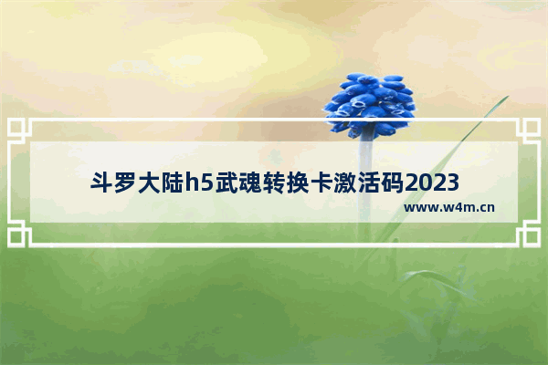 斗罗大陆h5武魂转换卡激活码2023