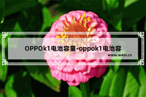 OPPOk1电池容量-oppok1电池容量多少