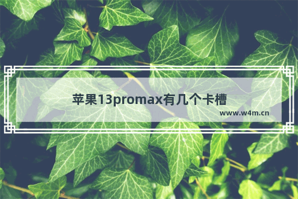 苹果13promax有几个卡槽