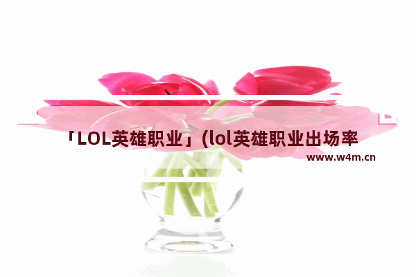 「LOL英雄职业」(lol英雄职业出场率)