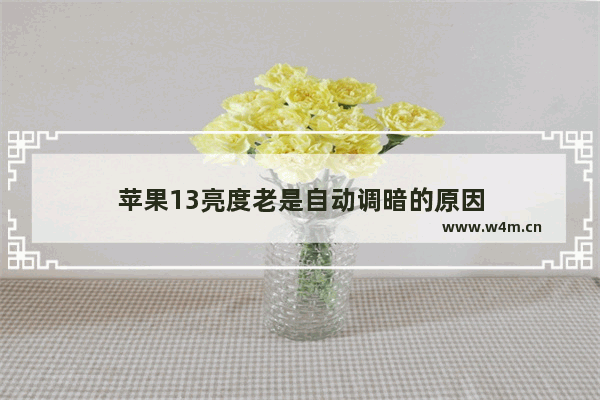 苹果13亮度老是自动调暗的原因