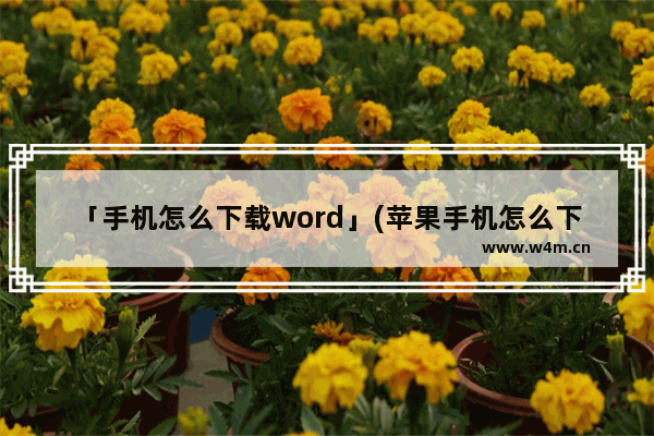 「手机怎么下载word」(苹果手机怎么下载word文档吗)