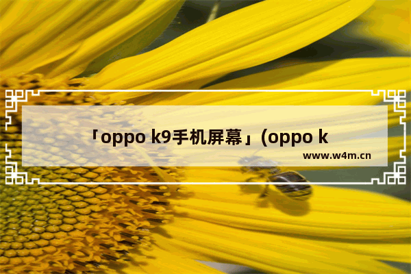 「oppo k9手机屏幕」(oppo k9手机屏幕多大)