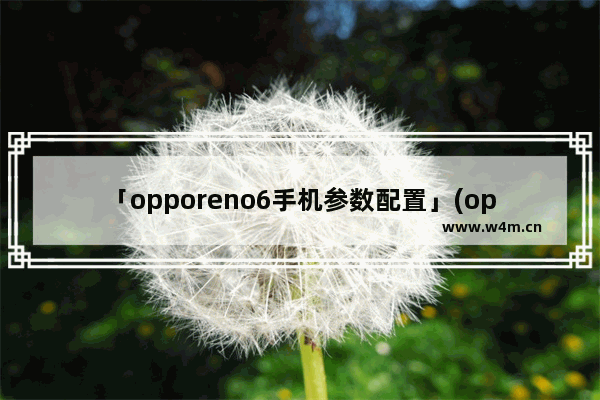 「opporeno6手机参数配置」(opporeno6手机参数配置图片)