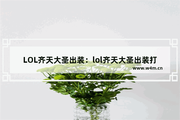 LOL齐天大圣出装：lol齐天大圣出装打法