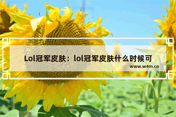 Lol冠军皮肤：lol冠军皮肤什么时候可以买