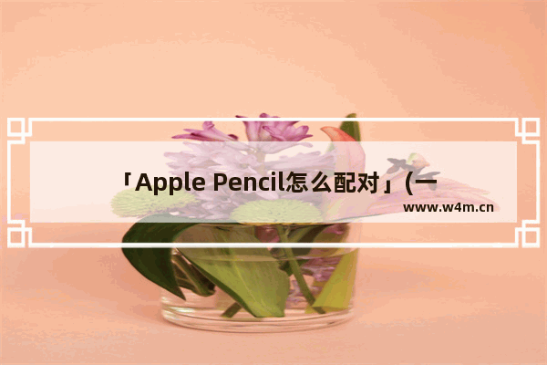 「Apple Pencil怎么配对」(一代apple pencil怎么配对ipad10)