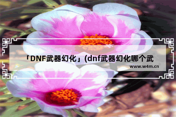 「DNF武器幻化」(dnf武器幻化哪个武器有特效)