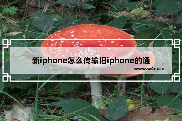 新iphone怎么传输旧iphone的通讯录