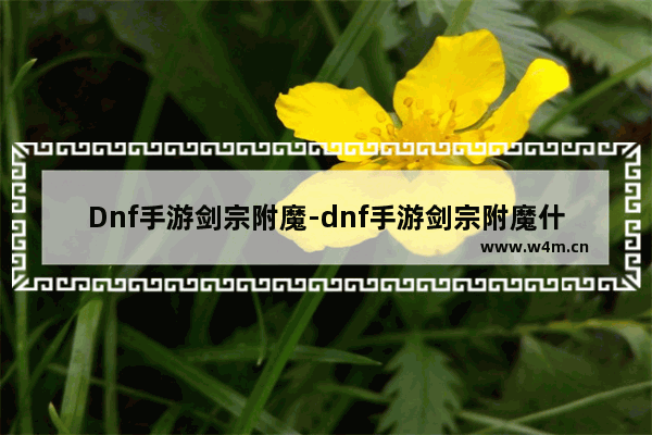 Dnf手游剑宗附魔-dnf手游剑宗附魔什么属性好