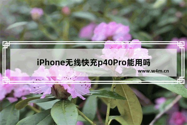 iPhone无线快充p40Pro能用吗