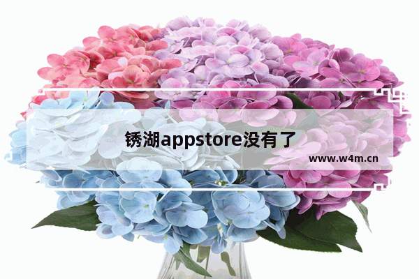 锈湖appstore没有了