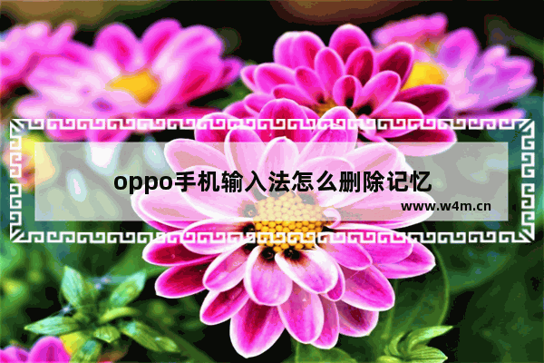 oppo手机输入法怎么删除记忆