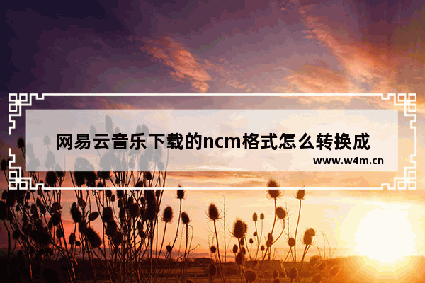 网易云音乐下载的ncm格式怎么转换成