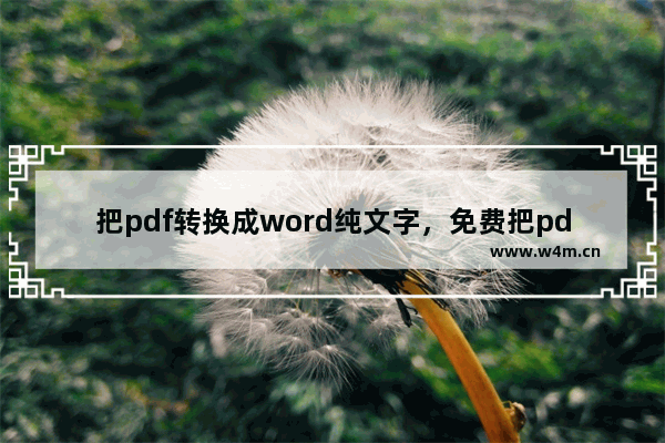 把pdf转换成word纯文字，免费把pdf转换成word纯文字