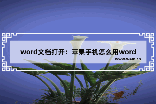 word文档打开：苹果手机怎么用word文档打开文件