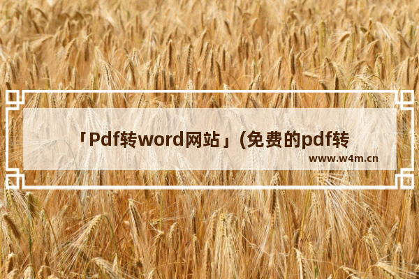 「Pdf转word网站」(免费的pdf转word网站)