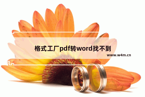 格式工厂pdf转word找不到