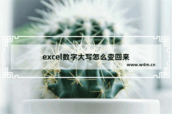 excel数字大写怎么变回来