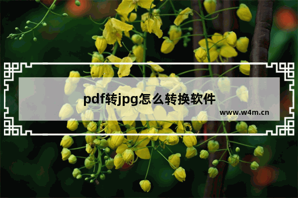 pdf转jpg怎么转换软件