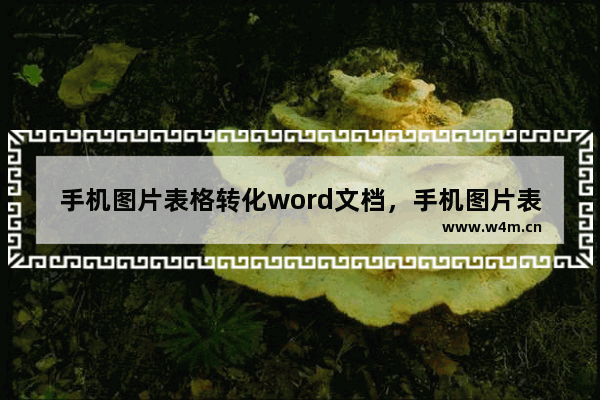 手机图片表格转化word文档，手机图片表格转化word文档软件