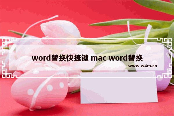 word替换快捷键 mac word替换快捷键ctrl加什么