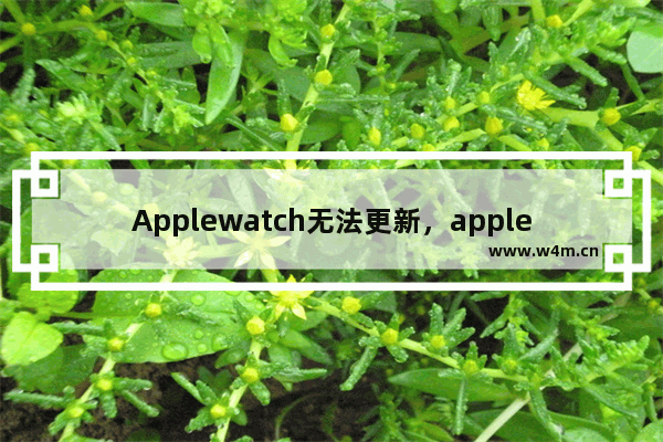 Applewatch无法更新，applewatch无法更新如何解决