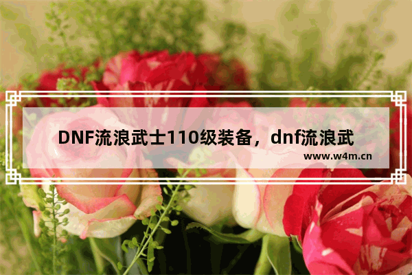 DNF流浪武士110级装备，dnf流浪武士110级装备选择