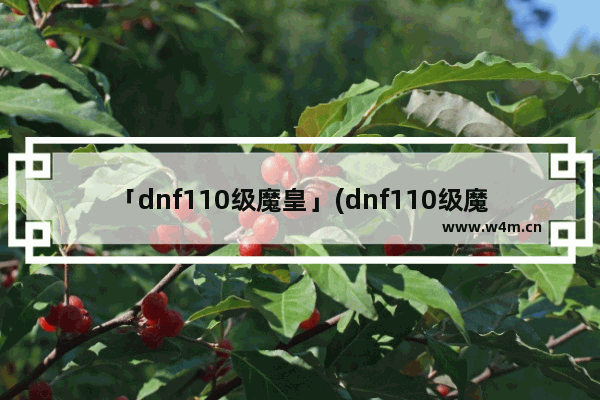 「dnf110级魔皇」(dnf110级魔皇刷图视频)