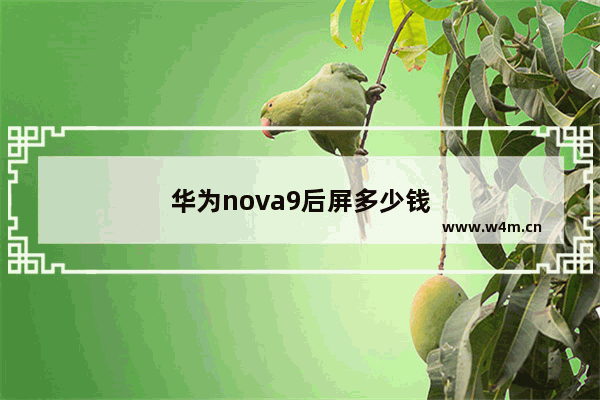 华为nova9后屏多少钱