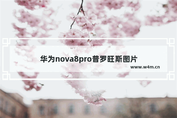 华为nova8pro普罗旺斯图片