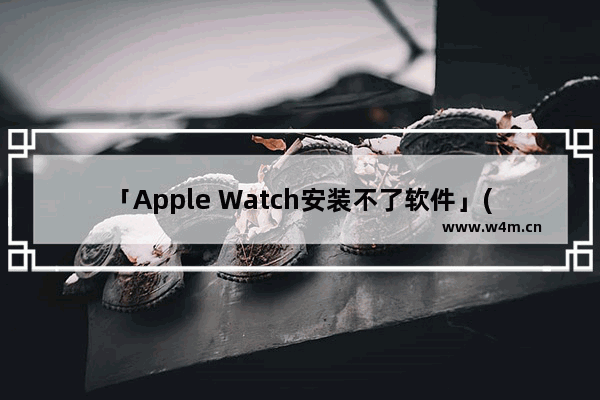 「Apple Watch安装不了软件」(apple watch安装不了软件怎么办)