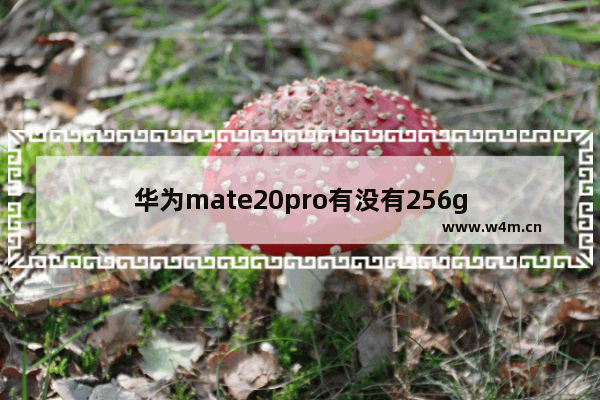 华为mate20pro有没有256g