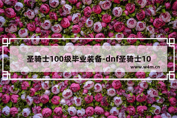 圣骑士100级毕业装备-dnf圣骑士100级毕业装备选择